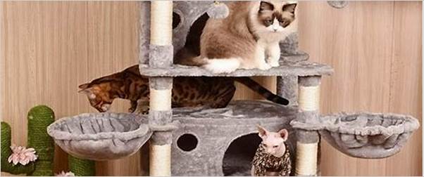 10 best cat condo for large cats